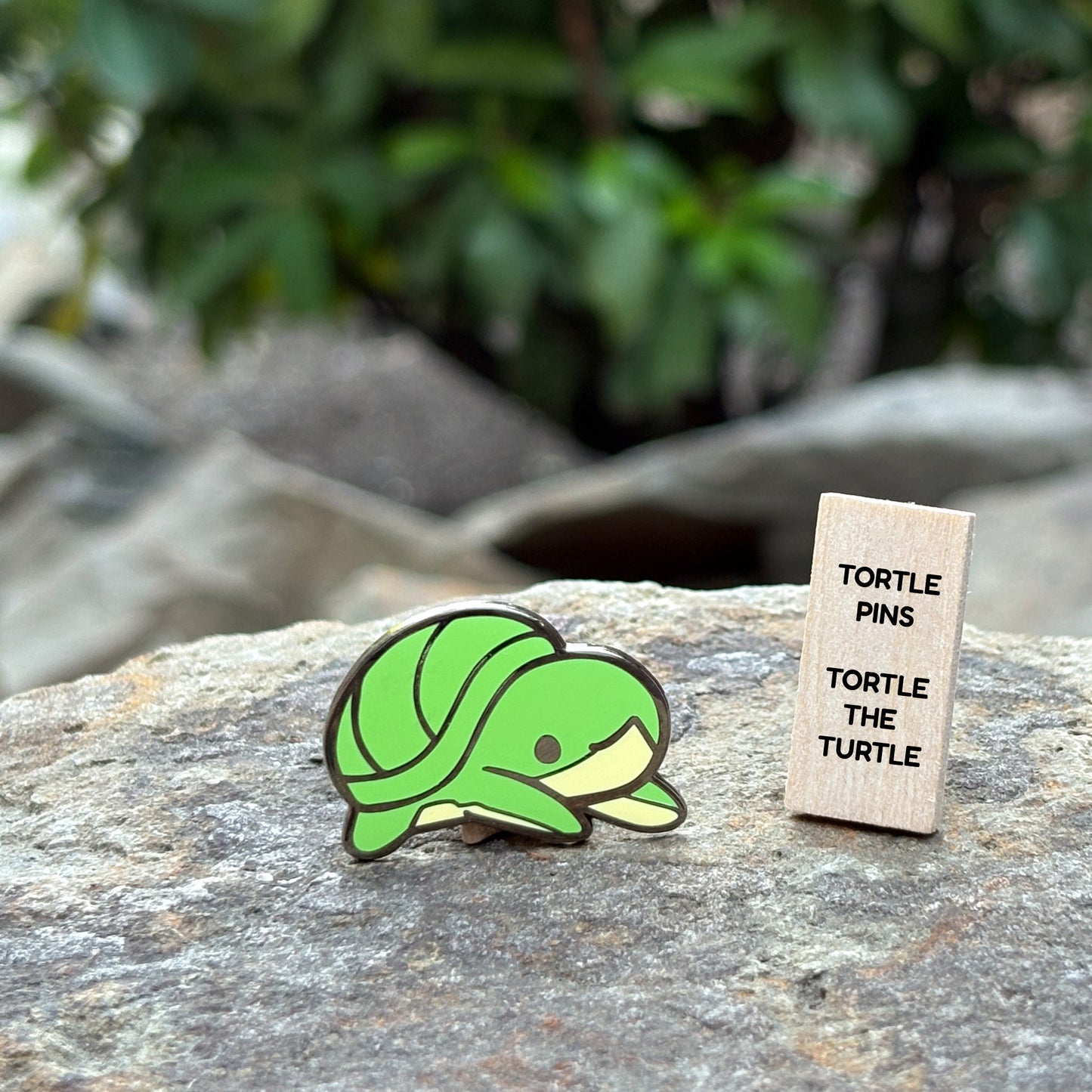 Tortle the turtle